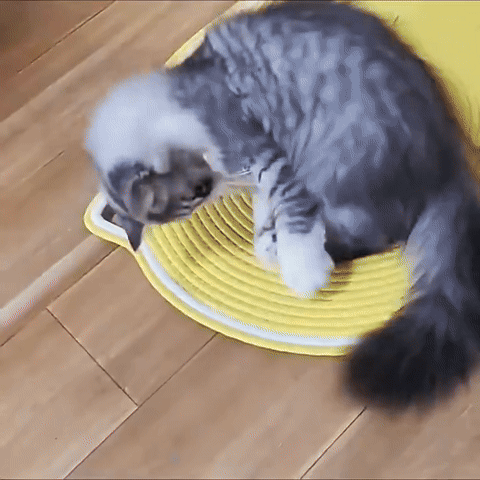 Cat Sisal Rope Scratch Mat
