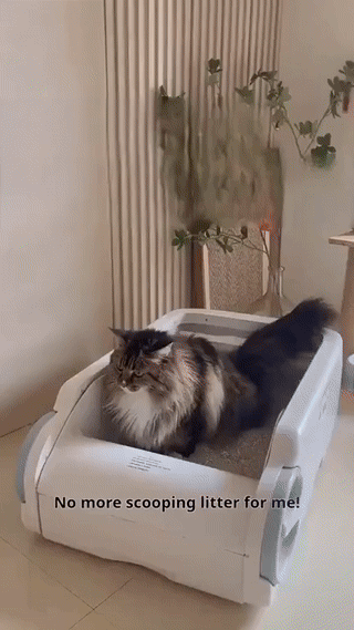 Cat Smart Self Cleaning Litter Box