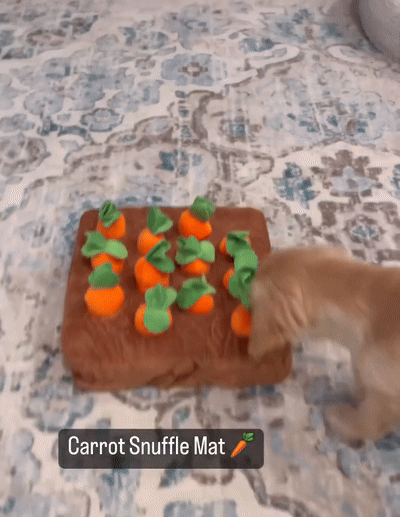 Pet Carrot Snuffle Hide & Seek Toy