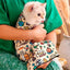 Cat Grooming Swaddle Wrap