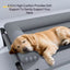 Dog Elevated Cooling Bed Breathable