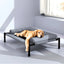 Dog Elevated Cooling Bed Breathable