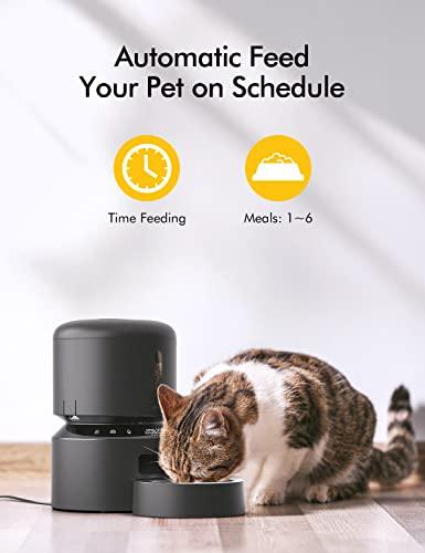 Automatic Cat Dry Food Dispenser - HolyPetz™