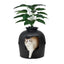 Cat Secret Plant Litter Box With Odor Control - HolyPetz™