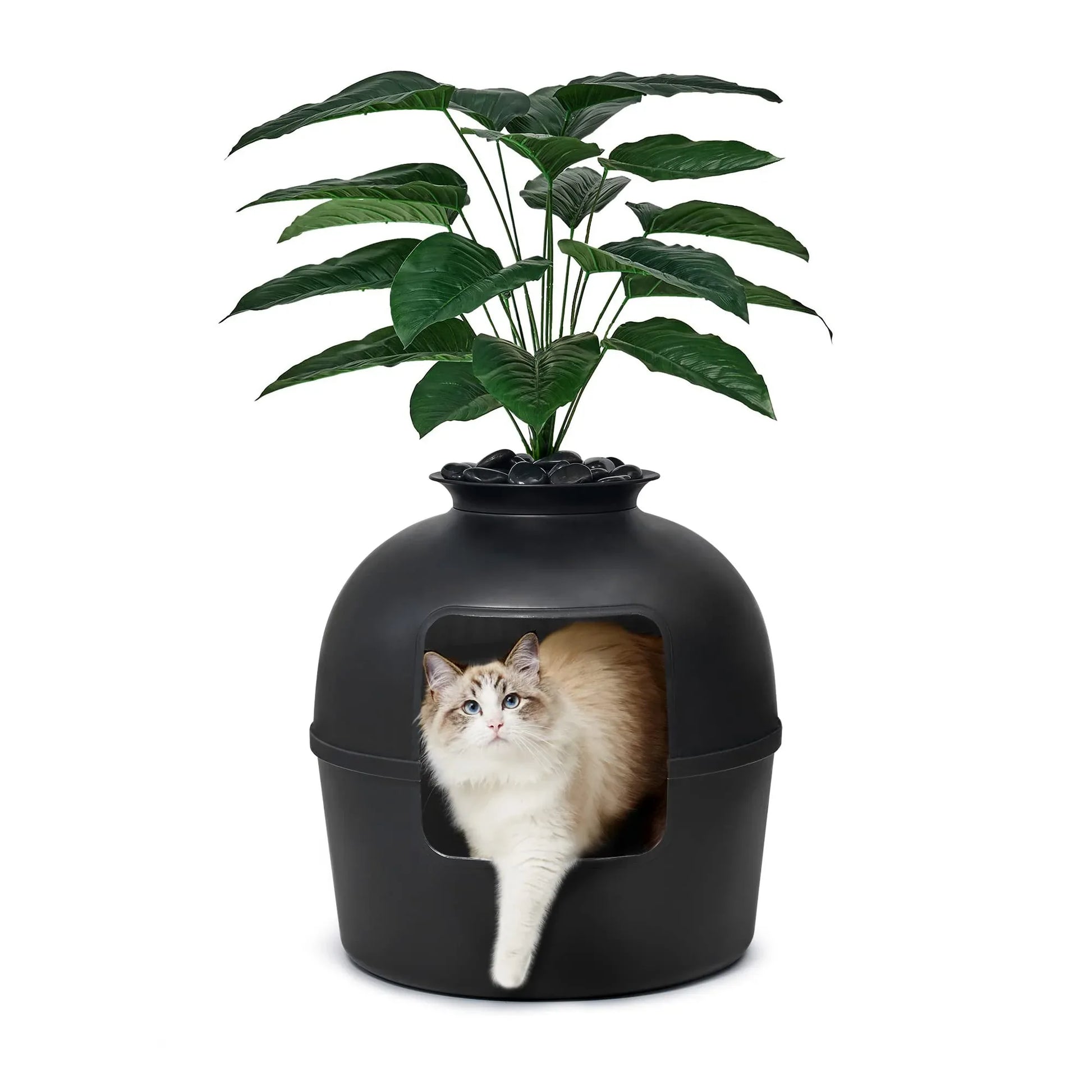 Cat Secret Plant Litter Box With Odor Control - HolyPetz™